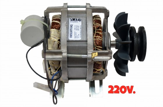 1138 MOTOR  220v.  (Pé de Ferro-42 MM.) - POLIA DE ALUMÍNIO 1